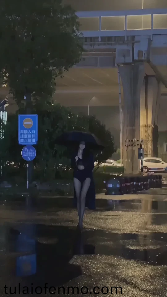 欧美午夜理伦三级在线观看